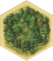 Hex tile: woodHex